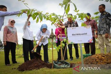Otorita terus tanam pohon guna jadikan IKN kota hutan berkelanjutan