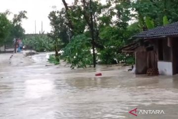 Hujan deras, 14 desa d Grobogan&nbsp;terendam banjir 15 cm hingga 1 meter