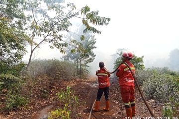 Dinkes Riau aktifkan tim medis darurat antisipasi asap karhutla
