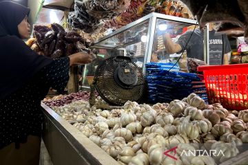 Bapanas panggil importir untuk jaga stabilitas harga bawang putih