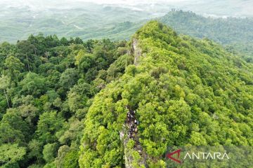 IKN beri ruang satwa liar dan bangun hutan endemik