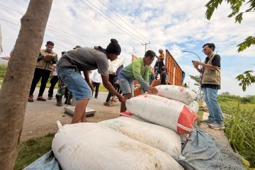 Pemkot Cirebon mengawal penyerapan gabah hasil panen di tingkat petani