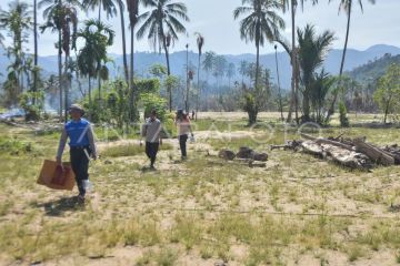 Bantuan Kementan untuk lahan pertanian rusak di Padang Pariaman