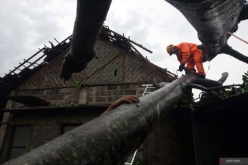 Penanganan dampak bencana angin kencang di Tulungagung