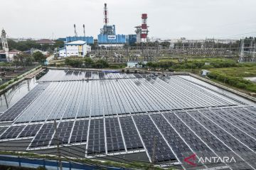 Memahami ulang transisi energi sebagai strategi ketahanan bisnis