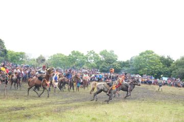 Wagub NTT: Atraksi Pasola Gaura di Sumba mampu dongkrak ekonomi daerah
