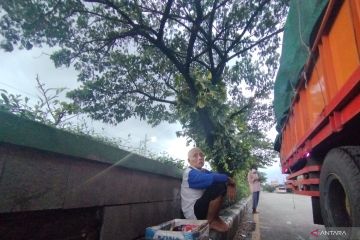 Pohon trembesi jadi payung teduh bagi wong cilik