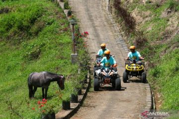 Destinasi agro wisata Tamansuruh Banyuwangi