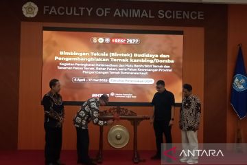 UGM adakan bimtek budi daya kambing dan domba bagi 585 peternak DIY