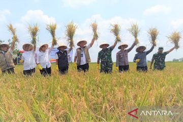 Dirut Bulog pastikan target penyerapan 4 juta ton beras 2026 tercapai