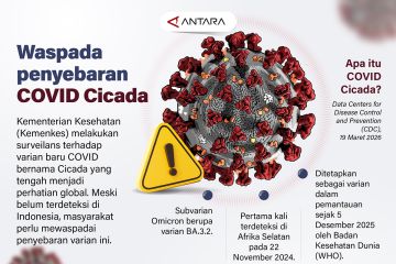 Waspada penyebaran COVID Cicada