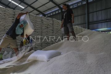Cadangan beras nasional capai 4,5 juta ton