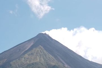 Evaluasi ESDM: Gempa embusan Gunung Karangetang terekam 806 kali