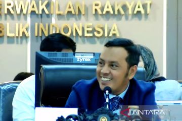 Kelakar Willy Aditya pada rapat DPR soal NasDem merger dengan Gerindra