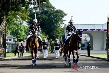 Masuk bulan ketiga, Serah Terima Kawal Istana jadi atraksi wajib CFD
