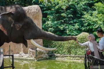 Peringatan Hari Kartini bersama gajah di Batu