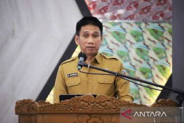 Wamendagri: Damkar, Satpol PP, dan Linmas strategis jaga stabilitas