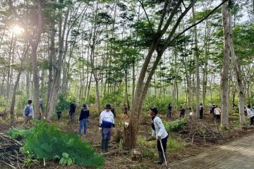Kalsel tanam 500 bibit tanjung perkuat RHL Bundaran Pohon Jokowi
