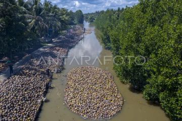 Target pengembangan kawasan hilirisasi kelapa nasional