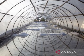 Koperasi Sae Nalendra sukses produksi garam farmasi, jawaban atas kebutuhan bahan baku medis lokal