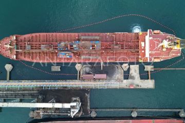 Peningkatan produksi bongkar muat CPO di Teluk Bayur