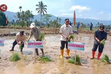 Kementan akselerasi gerakan tanam serentak di Sumatera Barat