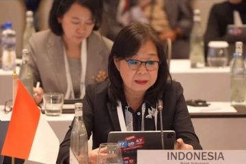 Deputi Gubernur BI tekankan kunci jaga ekonomi kawasan pada AFMGM+3