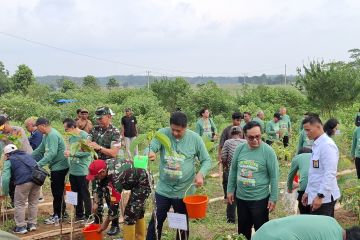 Menteri PKP dorong satu rumah tanam dua pohon dukung penghijauan