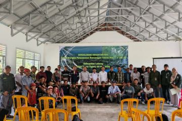 PT PLN Bengkulu sosialisasikan rehabilitasi hutan seluas 180 hektare