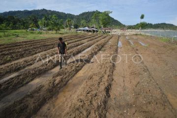 Warga perbaiki lahan pertanian secara mandiri di Padang Pariaman