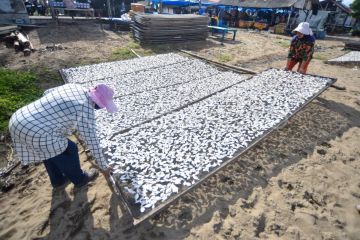Proyeksi angka konsumsi ikan nasional 2026