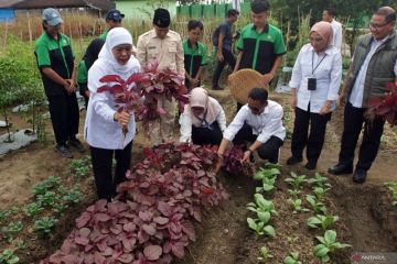 Penguatan pendidikan vokasi sekolah kejuruan di Jatim