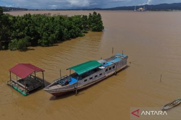 Kondisi air Teluk Kandari