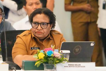 Wamendagri tegaskan dana Otsus Papua tidak dipotong pemerintah