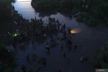 Tradisi berburu ikan pladu di Sungai Brantas