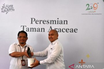 Peringati HUT ke-209 Kebun Raya Bogor hadirkan Taman Araceae