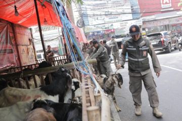 Jakpus tertibkan lapak hewan kurban di trotoar Tanah Abang-Johar Baru