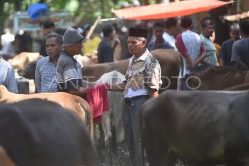 Negosiasi pembelian ternak di balik kain khas Sumbar