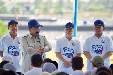 Menko Pangan: Presiden dorong swasembada protein dari tambak