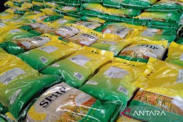 Kementan optimistis stok beras aman hadapi El Nino