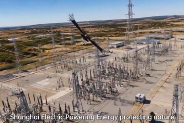 Peringati Hari Keanekaragaman Hayati Sedunia, Shanghai Electric Perkuat Praktik Ramah Lingkungan di Berbagai Proyek Lokal