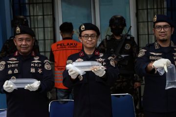 PSDKP Peswaran gagalkan penyelundupan benih lobster