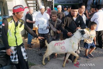 Pemkot Denpasar serahkan 17 ekor hewan kurban untuk Idul Adha 1447 H