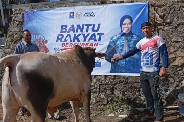 Athari salurkan enam sapi kurban di Sumatera Barat