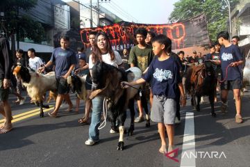 Tradisi pawai hewan kurban di Malang