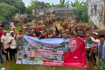 PDI Perjuangan bagikan ratusan sapi kurban untuk warga di Jatim