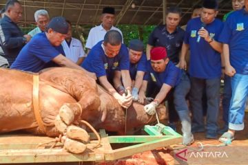 Garda Mawar: Presiden Prabowo rutin berkurban dengan dana pribadi