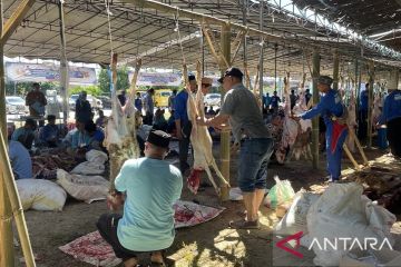 Kemendes jadikan Serang proyek percontohan penyaluran hewan kurban
