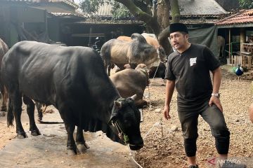 Kemarin, jumlah hewan kurban Irfan hakim hingga wujudFerrari Luce