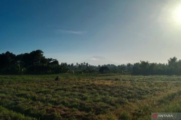 BBMKG sebut udara dingin Australia pengaruhi suhu di Bali